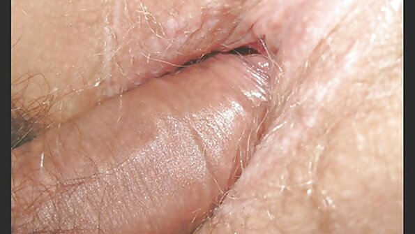 ඉක්මන් පිරිසිදු කිරීමක්