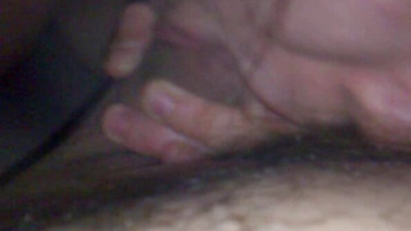 සංවේදී පැටවා ඇගේ බූරුවාට කෙලෙව්වා