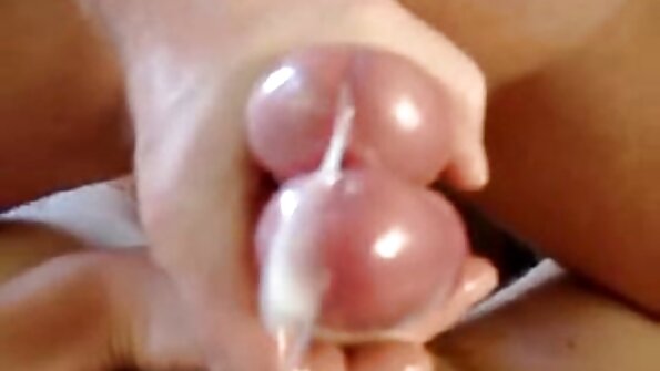 ටාරා සුදු කොටළුවා පිටුපස මිදුලේ ඇණ ගසා ඇත